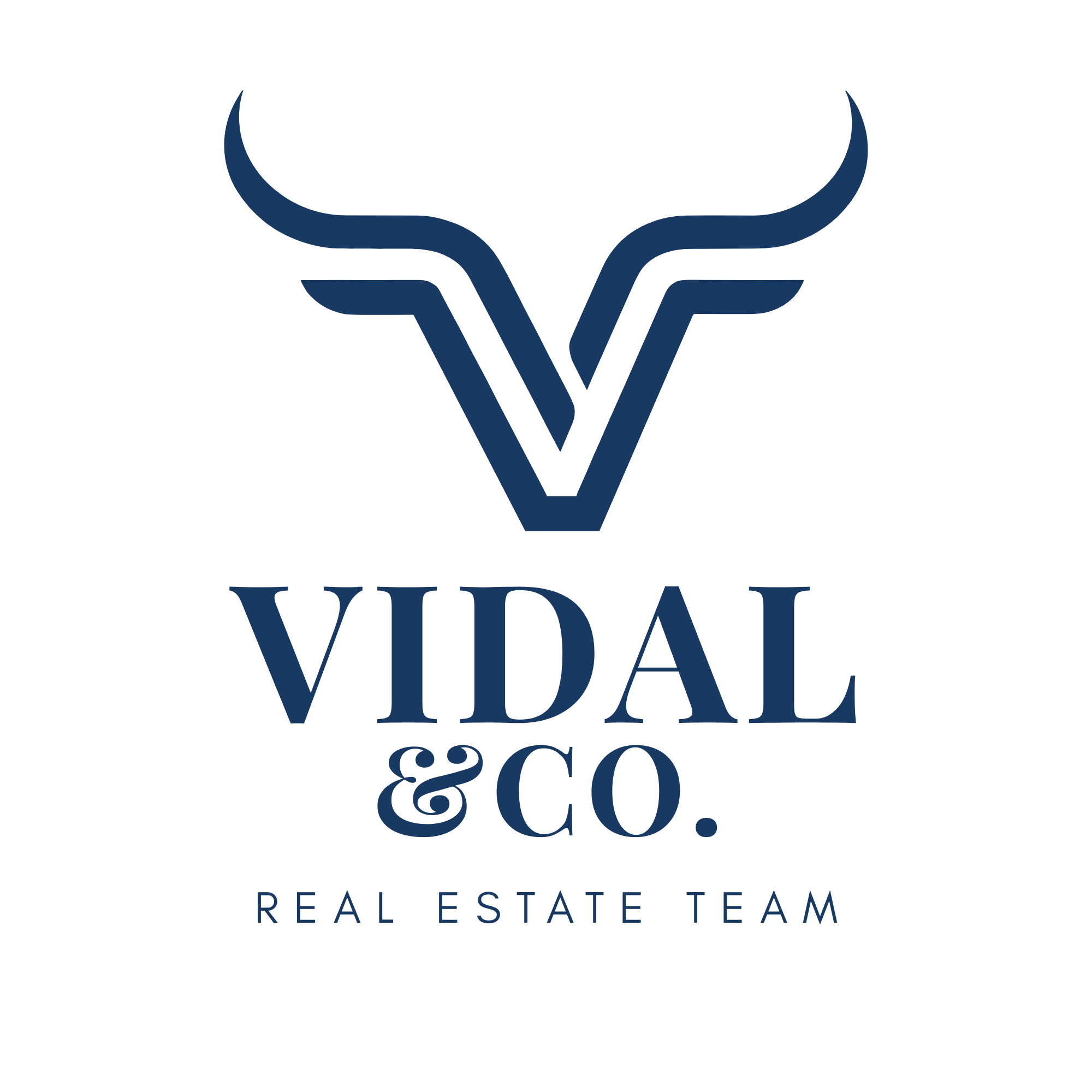 Vidal & Co. Real Estate Team